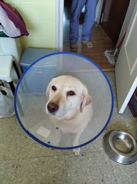 Clínica Veterinaria HARO