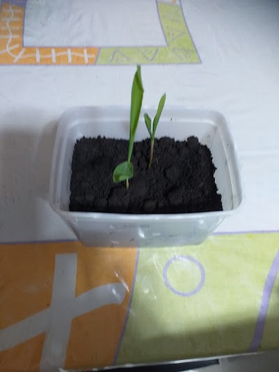 Foto de HS CAR Mecânica e Borracharia