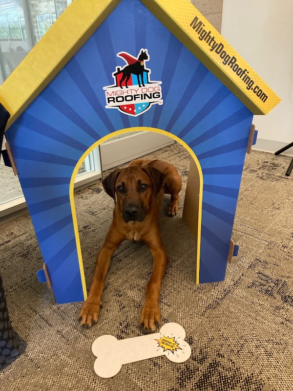 Mighty Dog Roofing of Charlotte photo 4