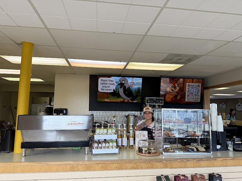 Hungry Chipmunk Cafe photo 1