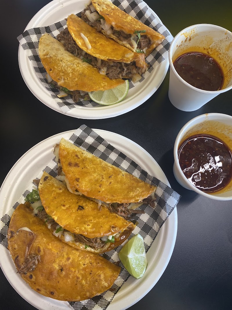 Don Birria Mount Lawley photo 5