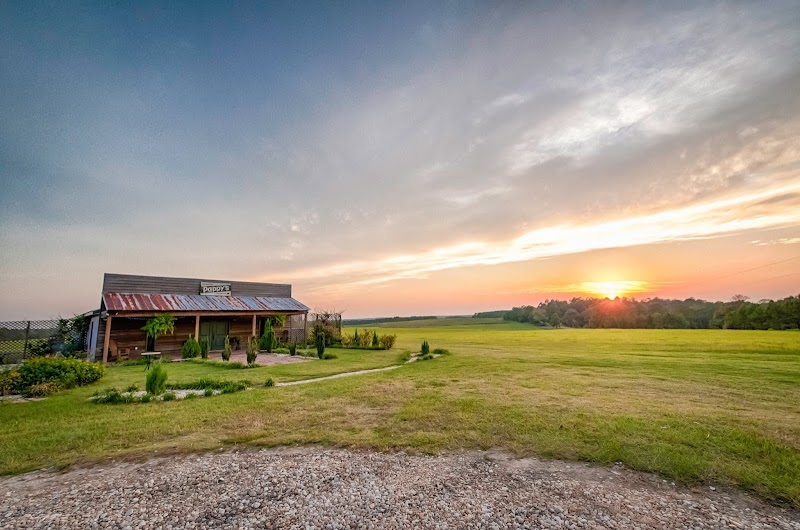 High Pine Lodge - Hunting Preserve and Event Venue - Photo 4