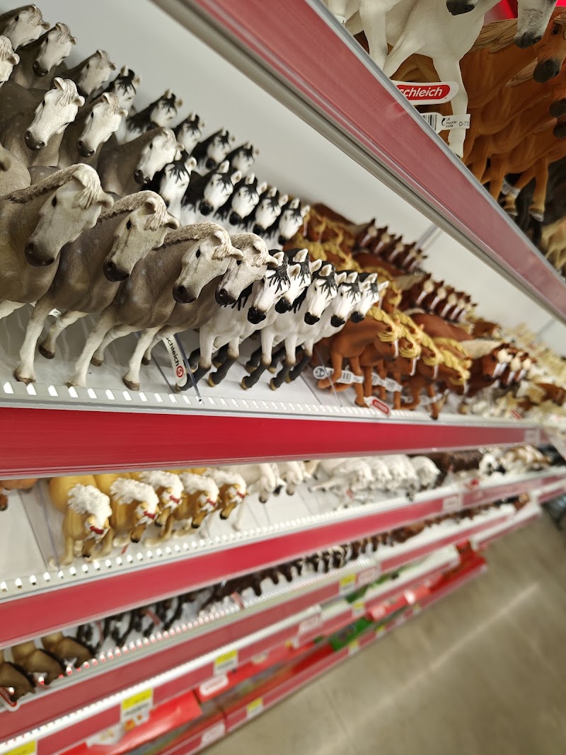 Murdoch's Ranch & Home Supply #55 photo