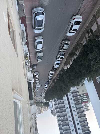 Vip Mersin Mezitli Halı Yıkama - Temizlik