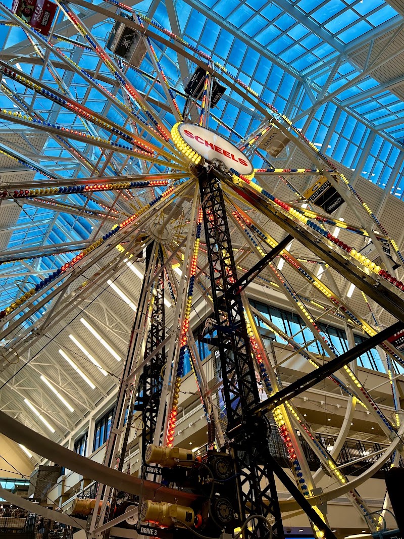 Scheels photo 3