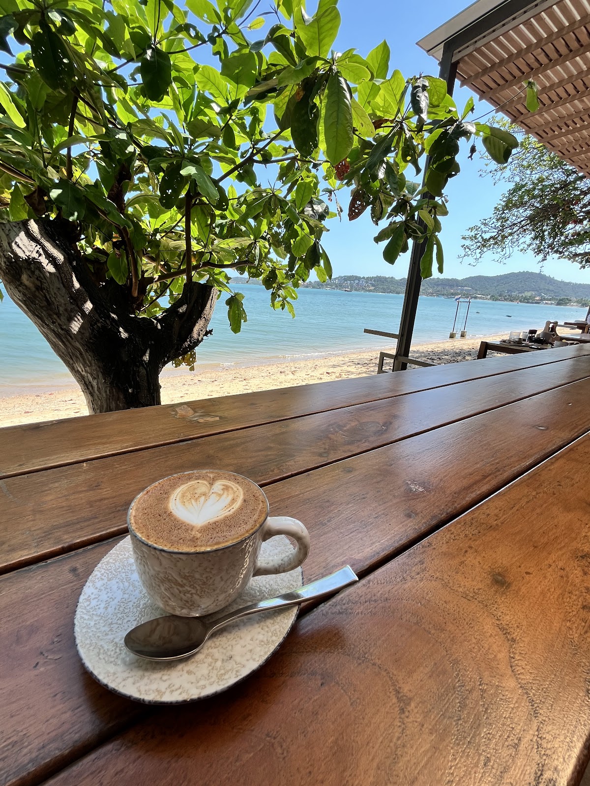 The Local Coffee & Eatery - Photo 4