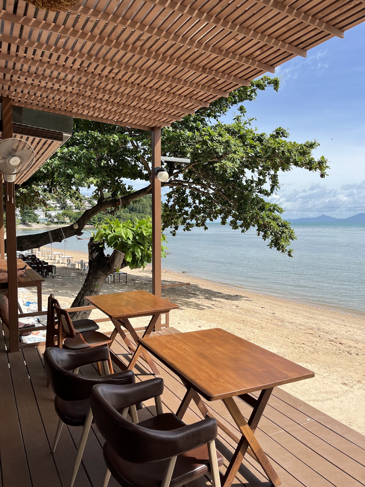 The Local Coffee & Eatery - Main view