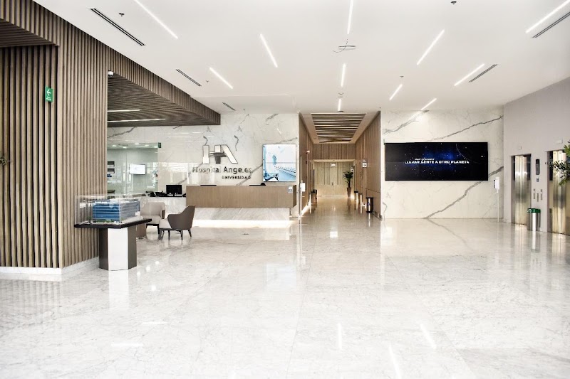 Gallery 2
