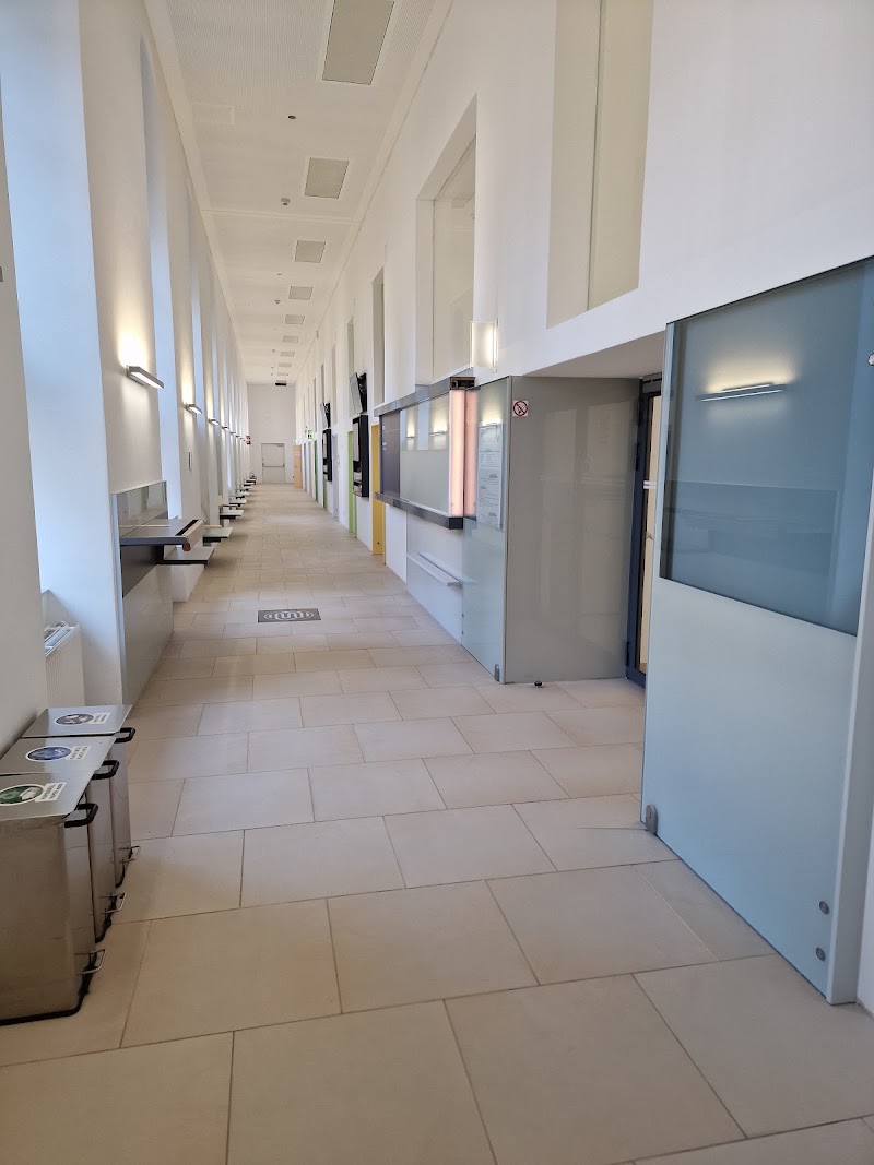 Gallery 4