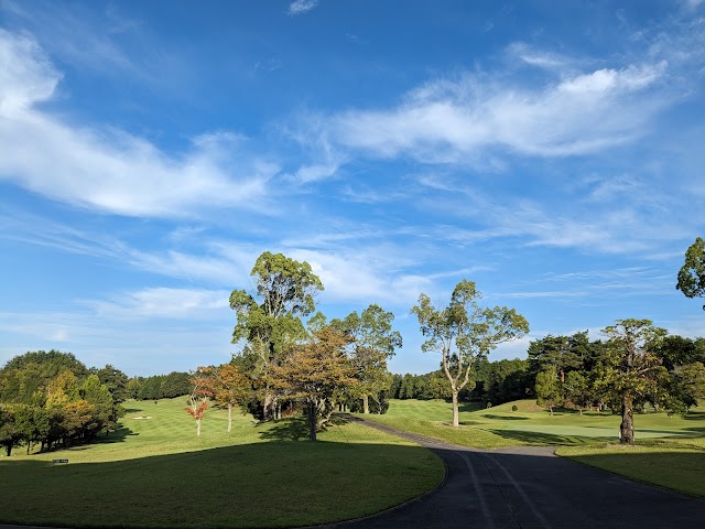 Pines Golf Club - Photo 6