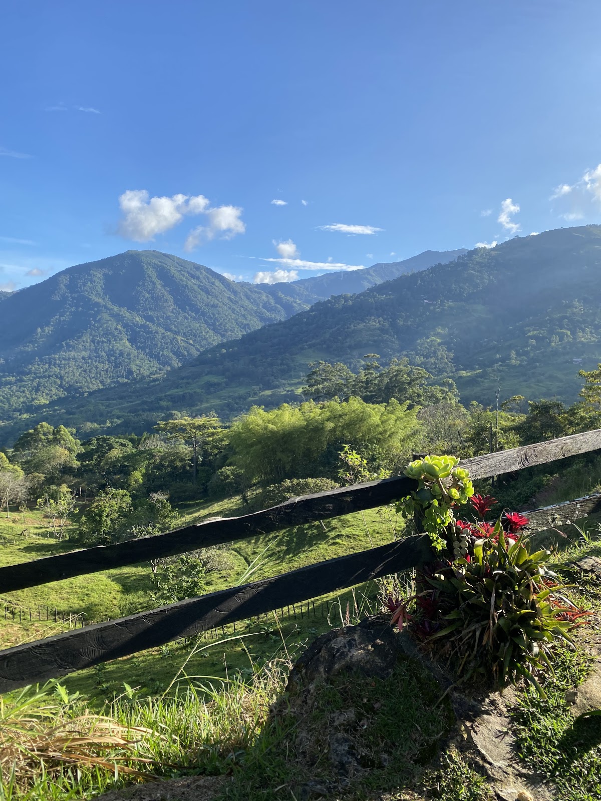 LaWayra Ayahuasca Retreat — 4