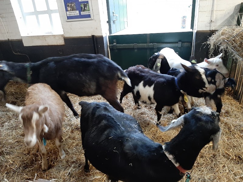 Kinderboerderij De Schildershof