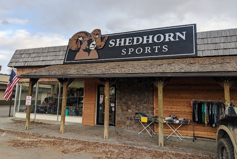 Shedhorn Sports photo
