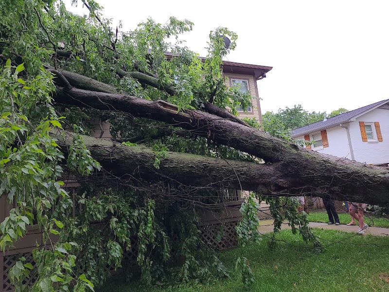 Terry Woodall Roofing Contractors photo 1