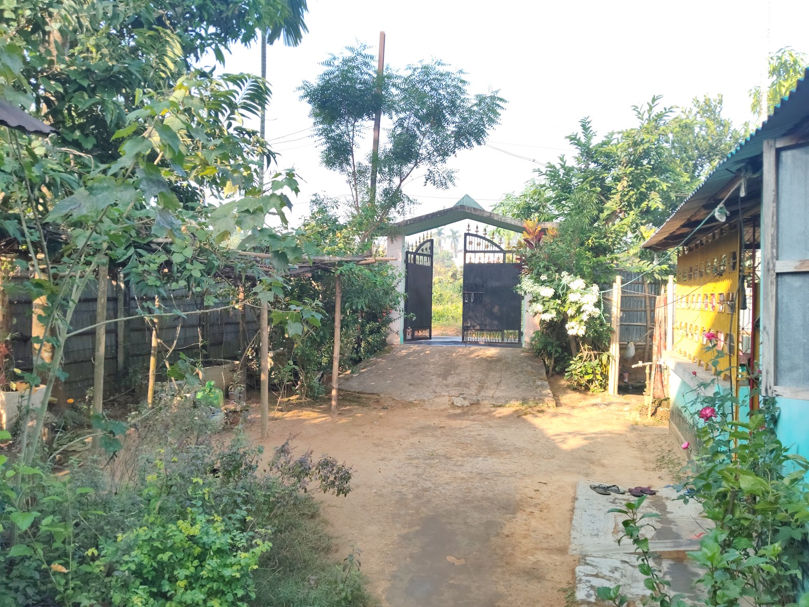 MATI LAL BHAVAN photo 1