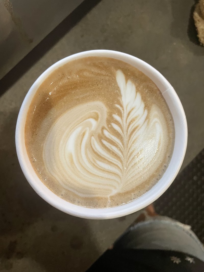Live Oak Coffeehouse photo 4