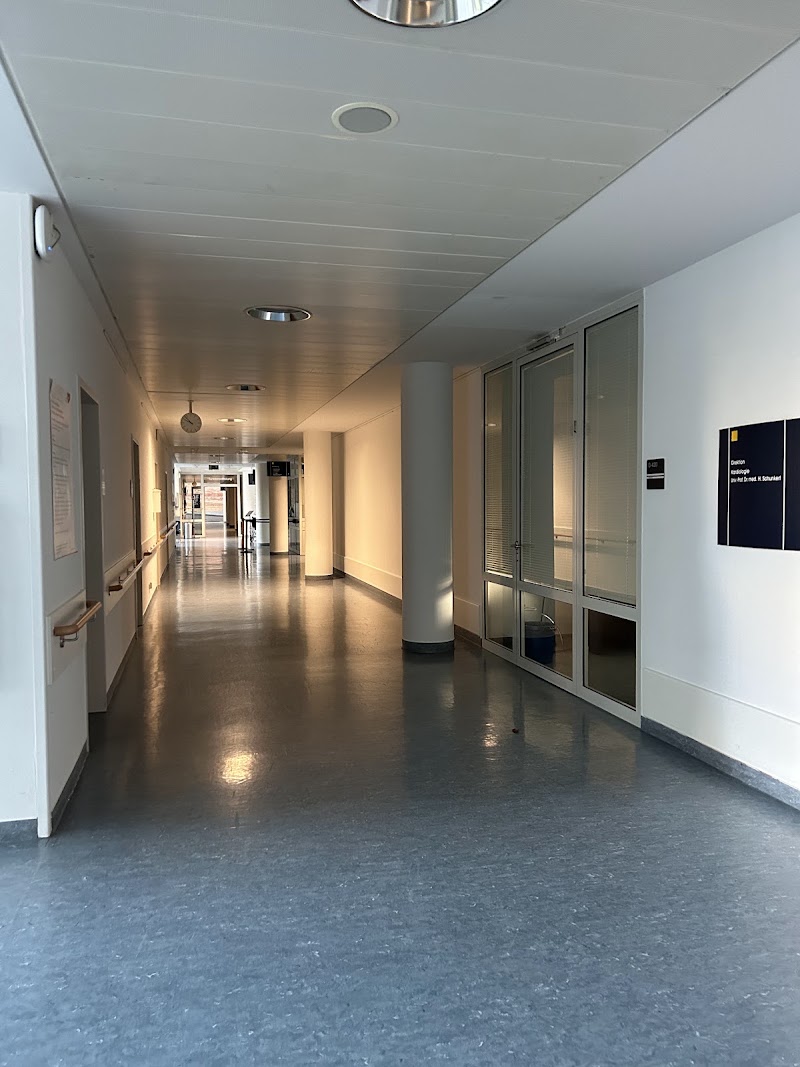 Gallery 3