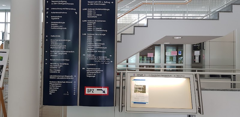Gallery 4