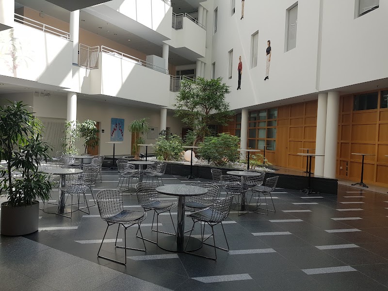Gallery 5