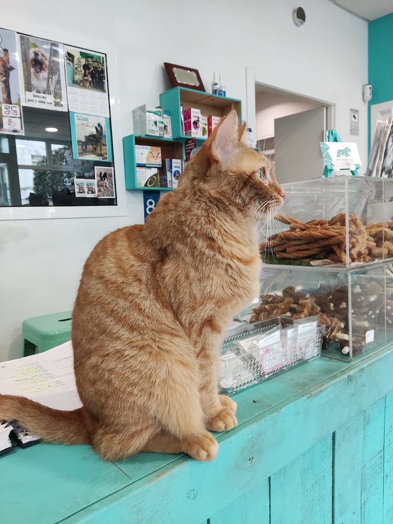 Clínica Veterinaria Bichopolis photo 5
