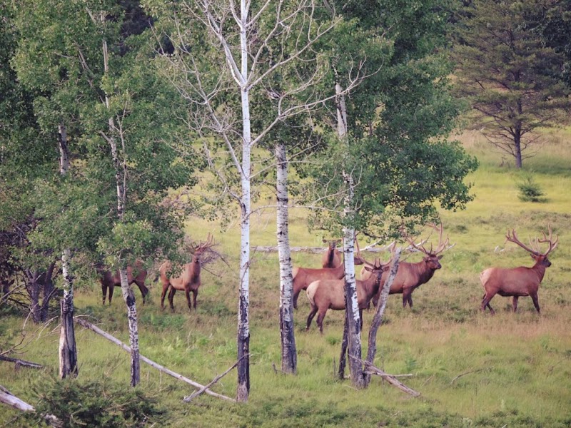 Pk Ranch Inc. - Photo 2
