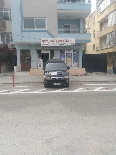 Güleryüz Halı Yıkama Hizmetleri - Temizlik