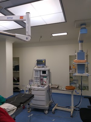 Dr. Shalini Gupta ( Best Gynaecologist & obstetrics laproscopic surgeon ) - Image 2