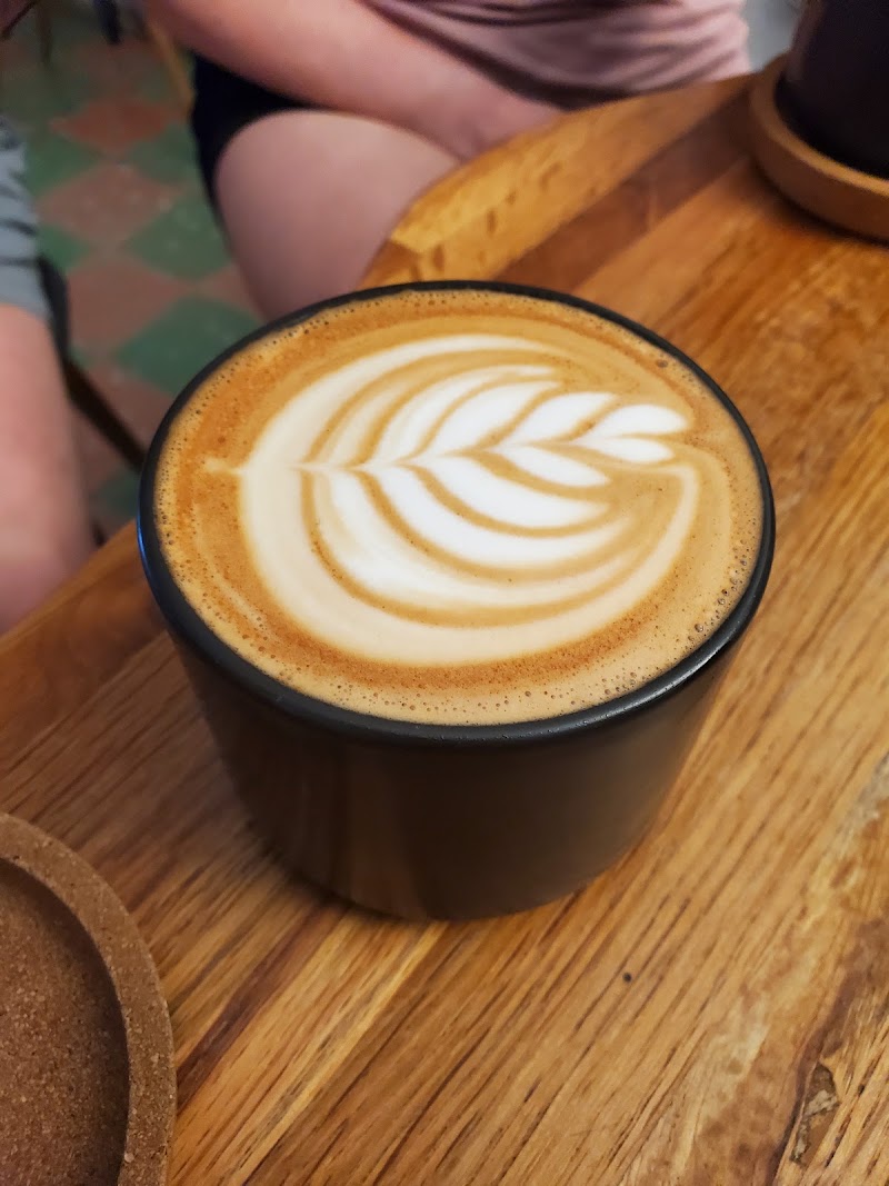 Bandera Coffee Co. photo 3