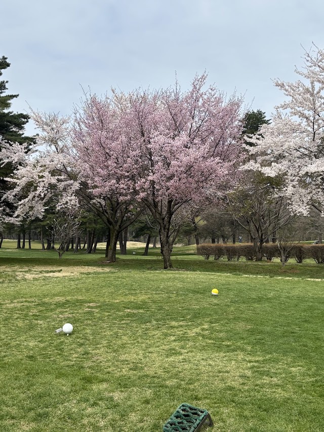 Hachinohe Country Club - Photo 9