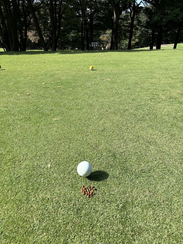 Hachinohe Country Club - Photo 5