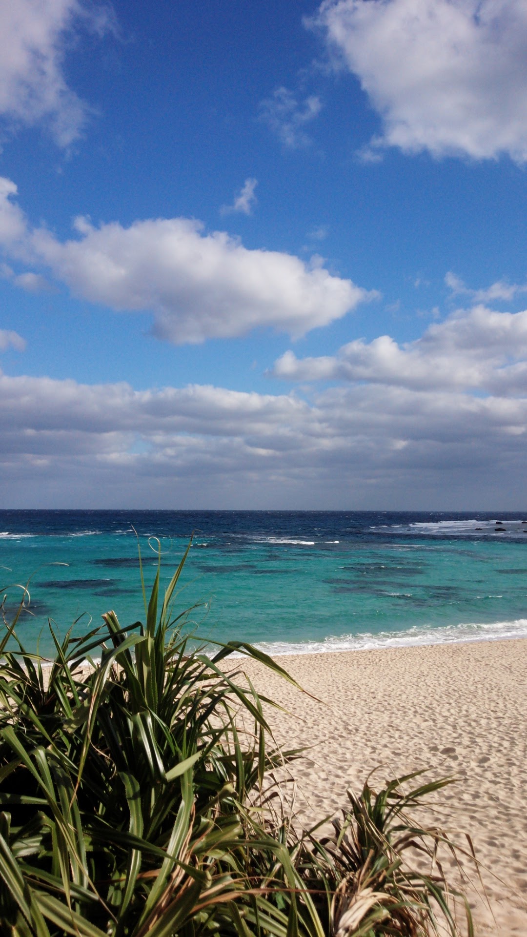 Awami - hotel in Amami Oshima, Kagoshima (2)