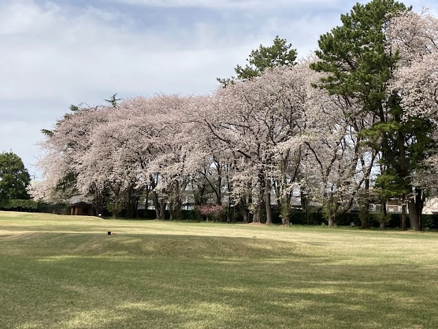 Odakyu Fujisawa Golf Club - Photo 3