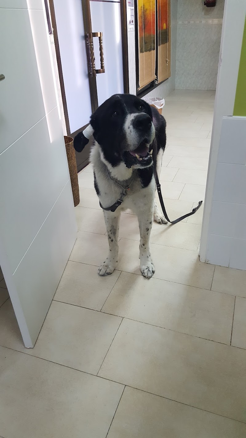 CONSULTA VETERINARIA LAS PERDICES