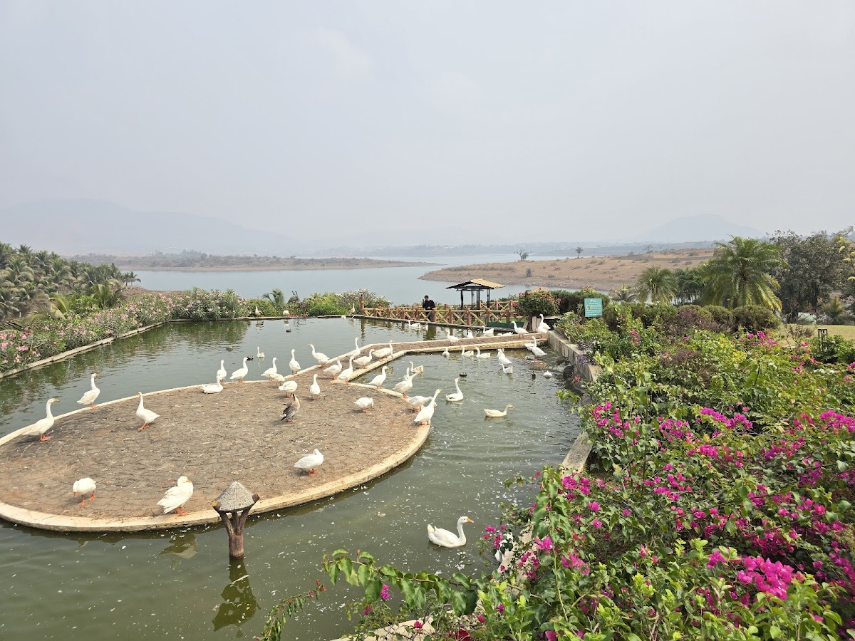 Fazlani Nature's Nest - The Luxury Wellness Retreat In India — 3