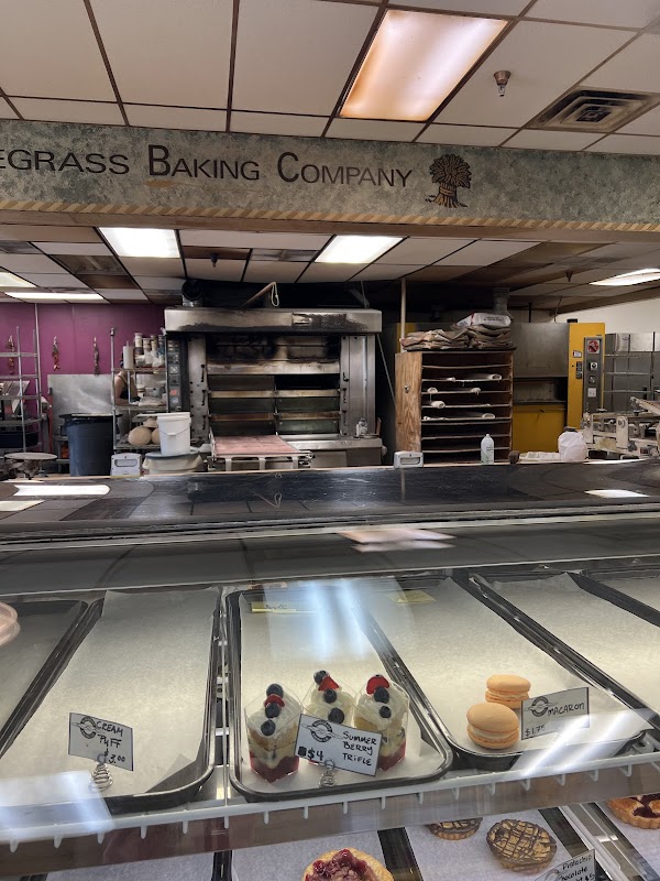 Photo by Matin Hemati