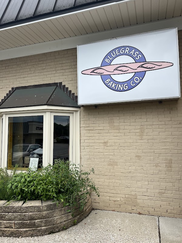 Photo by Matin Hemati