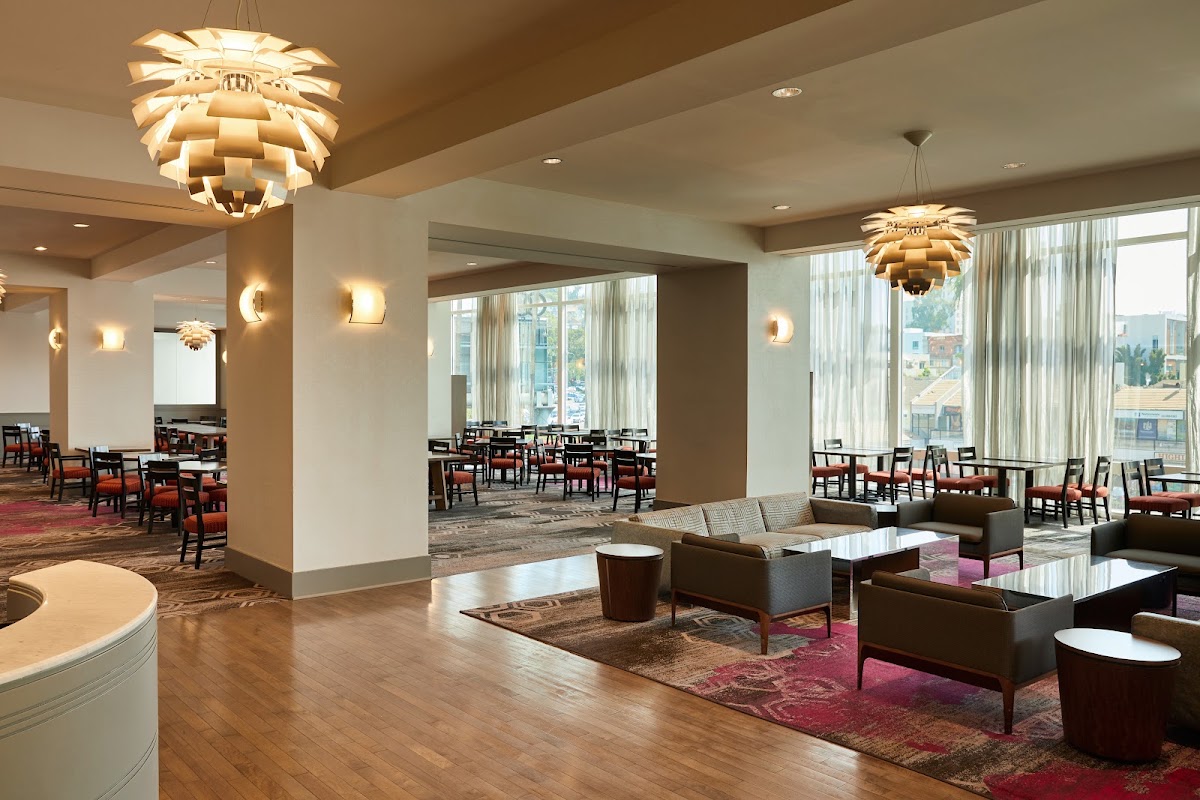 Loews Hollywood Hotel, dog-friendly hotel, photo 5