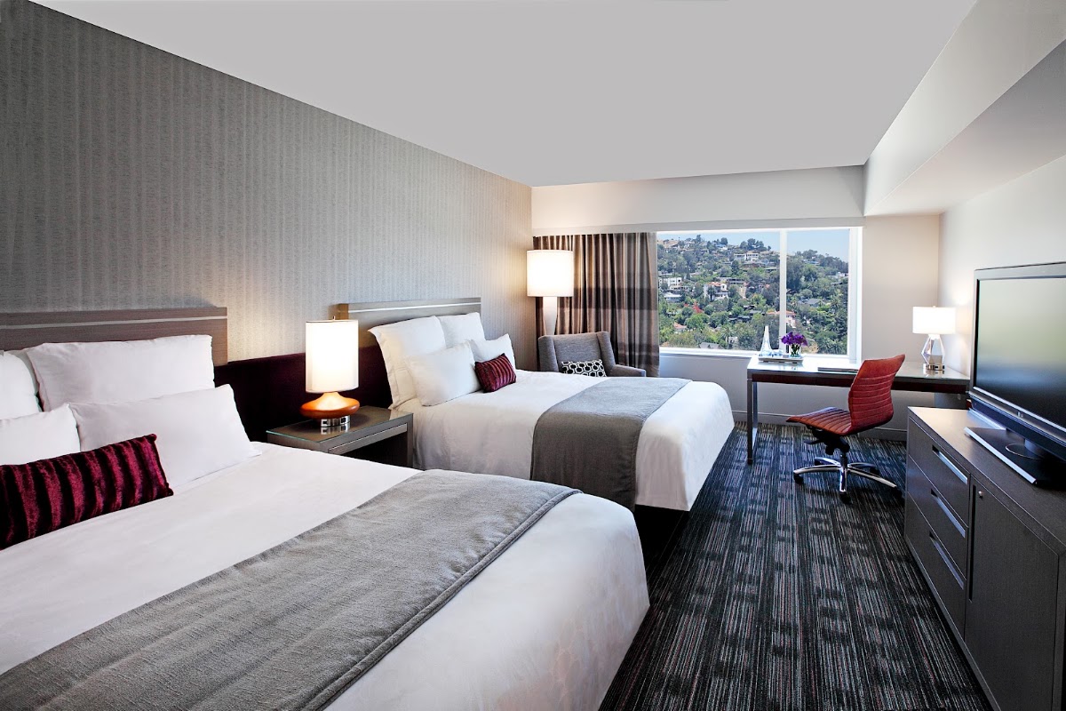 Loews Hollywood Hotel, dog-friendly hotel, photo 4