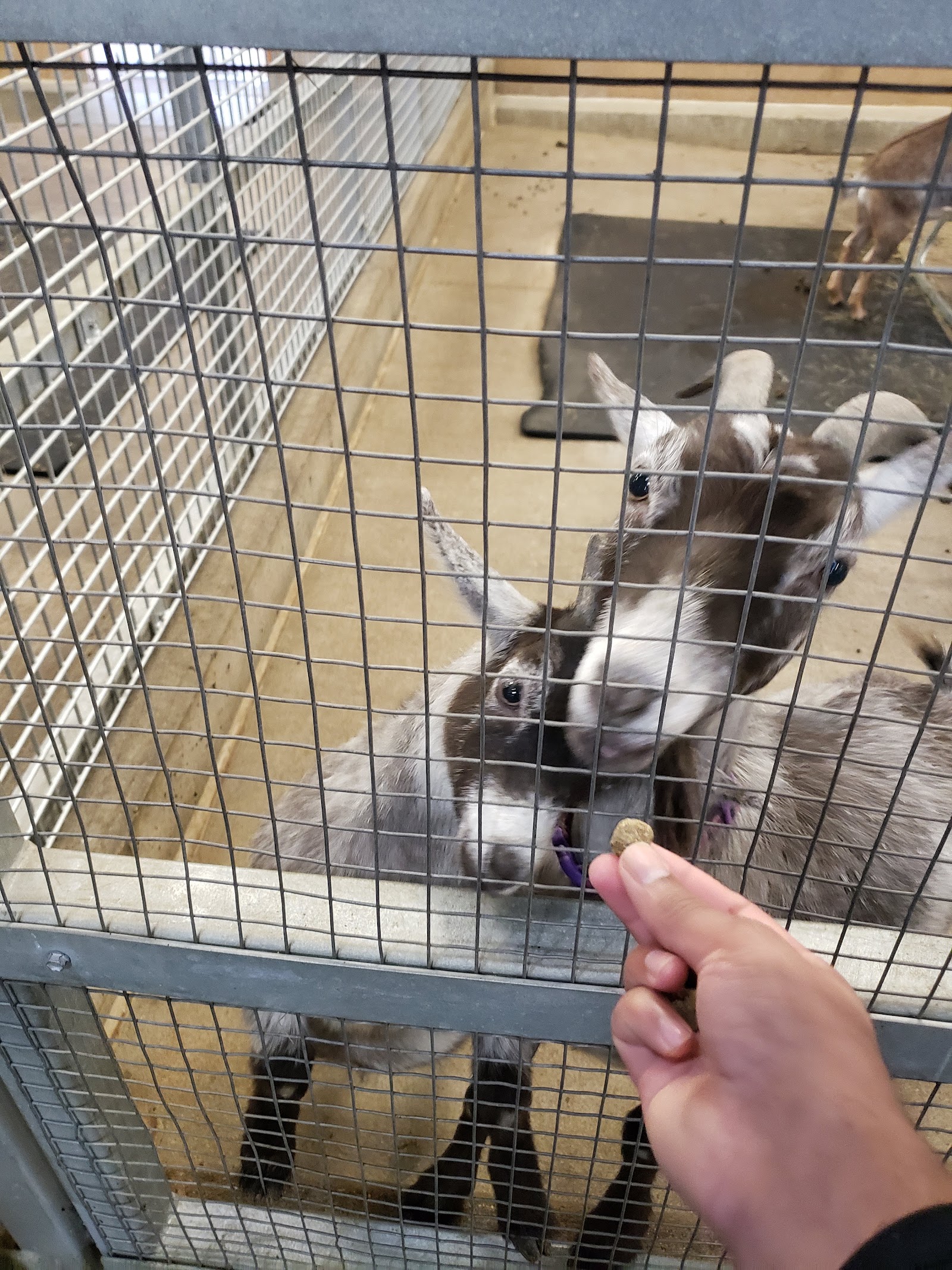 Bramble Park Zoo