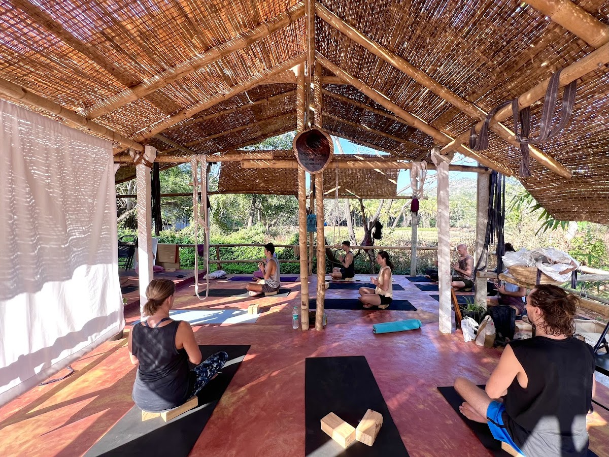 Yoga Mandir