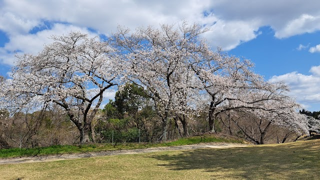 Hikarigaoka Country Club - Photo 5