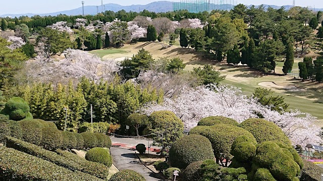 Hikarigaoka Country Club - Photo 9