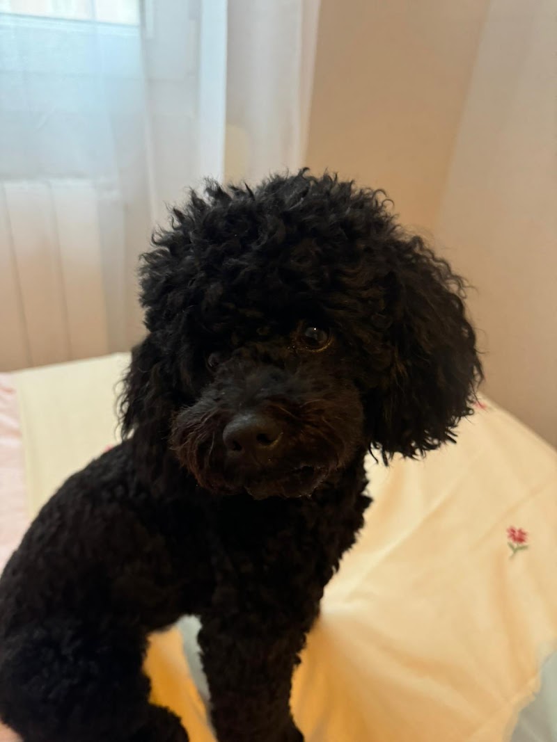 Clínica Veterinaria El Alisal