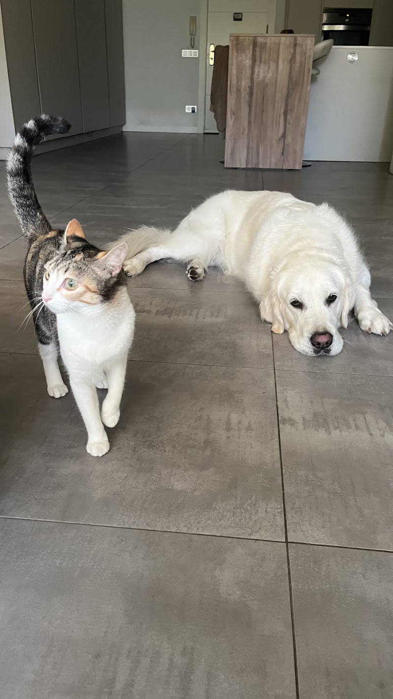 Clínica Veterinaria Zalavet | Pamplona