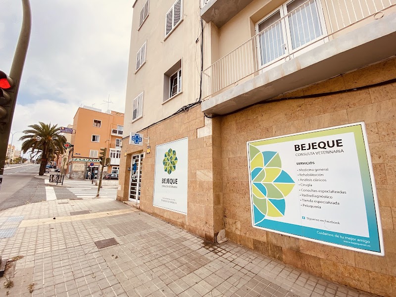 Consulta Veterinaria Bejeque