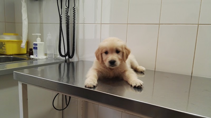 Clínica Veterinaria los Cuartos