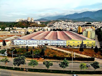 Ozan Cam - Temizlik