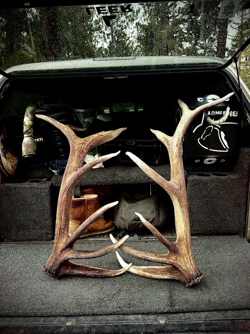ElkBros Adventures - Photo 2