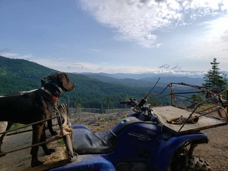 Shattuck Creek Outfitters LLC - Photo 4