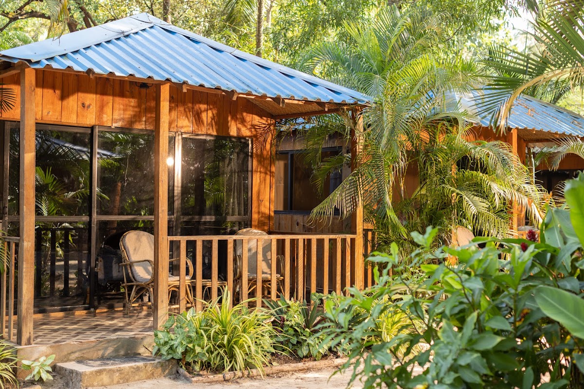 Palm Forest Palolem